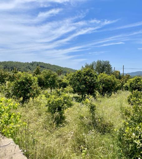 Villa Bella Solena - View 62