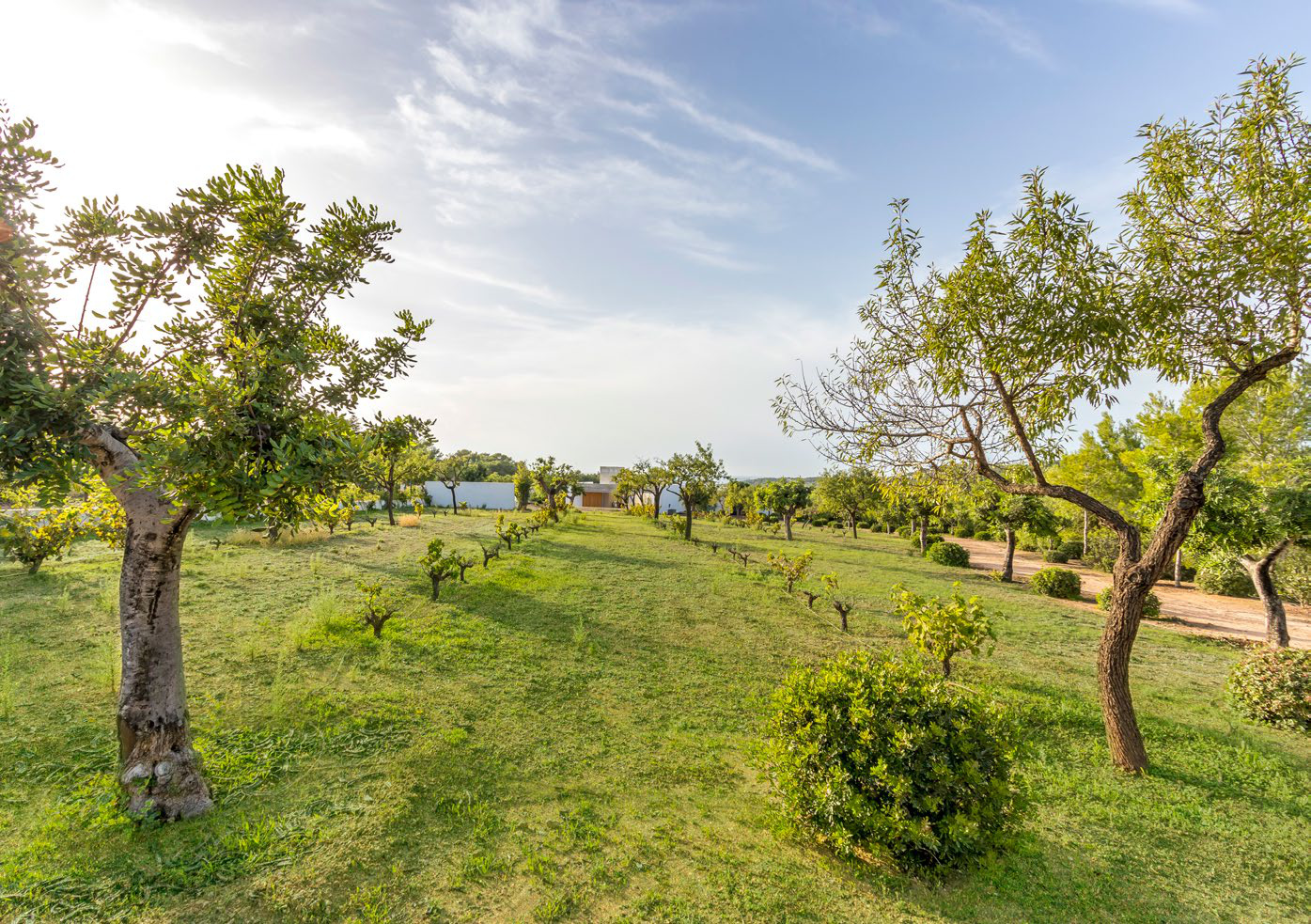 Can Almendros - View 31