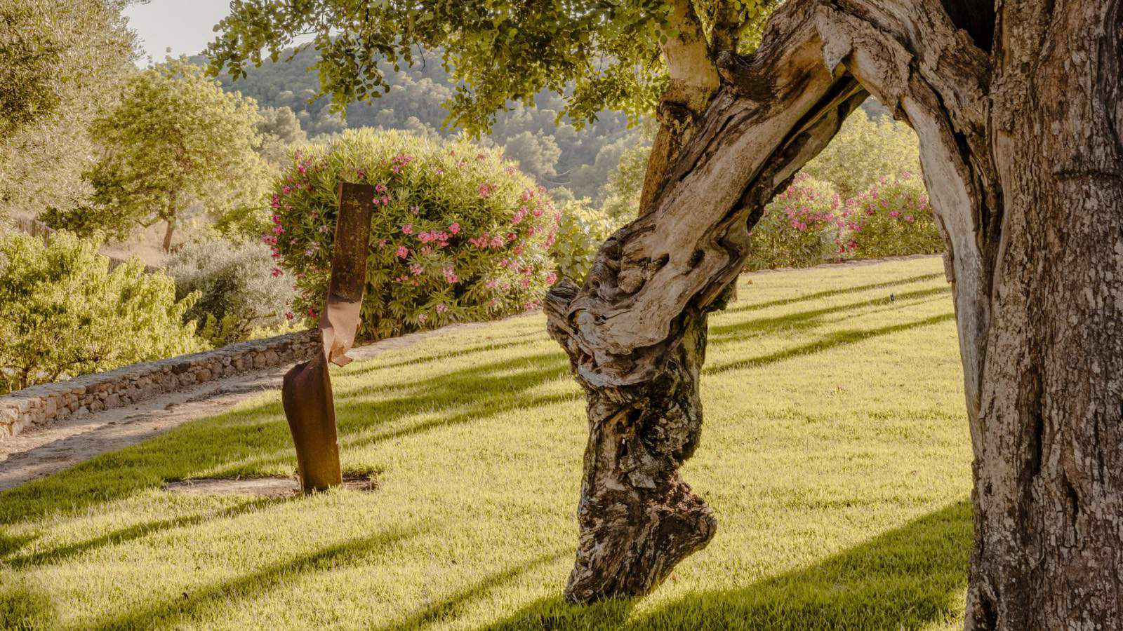 Can Nikita - View 57