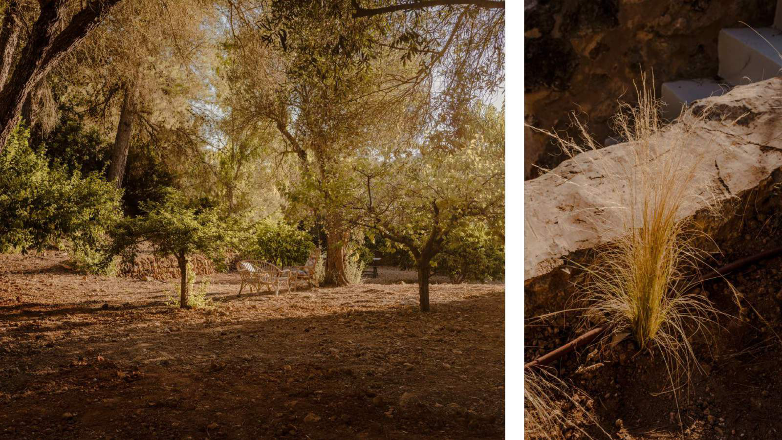 Can Nikita - View 60