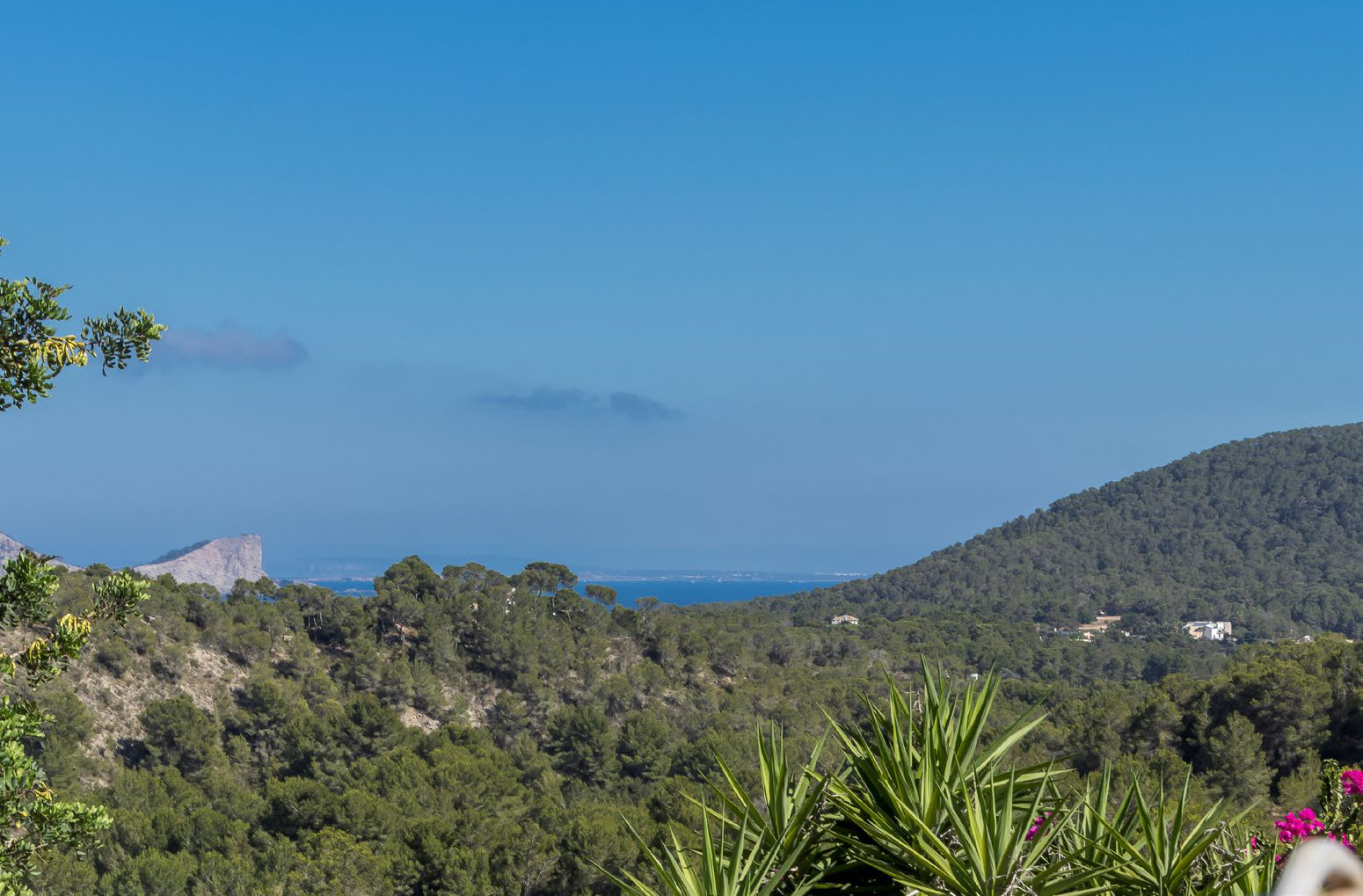 Finca Miraflores - View 5