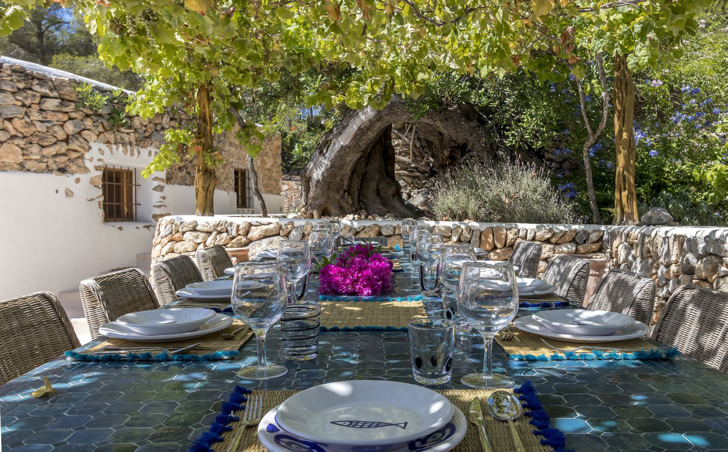 Finca Miraflores - View 12