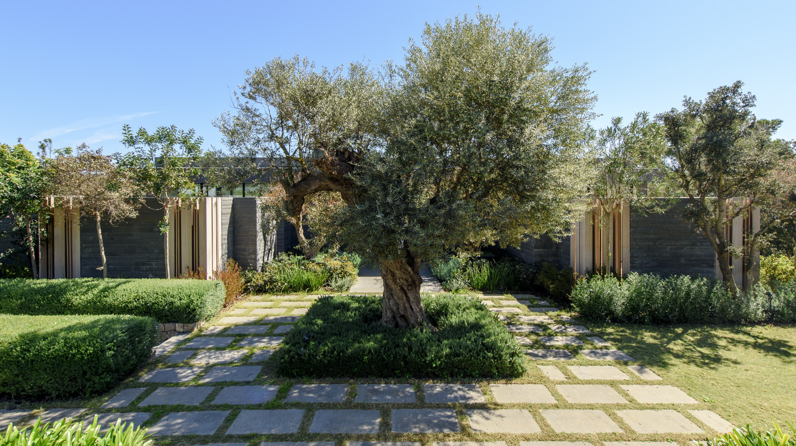 The Grey One - View 55