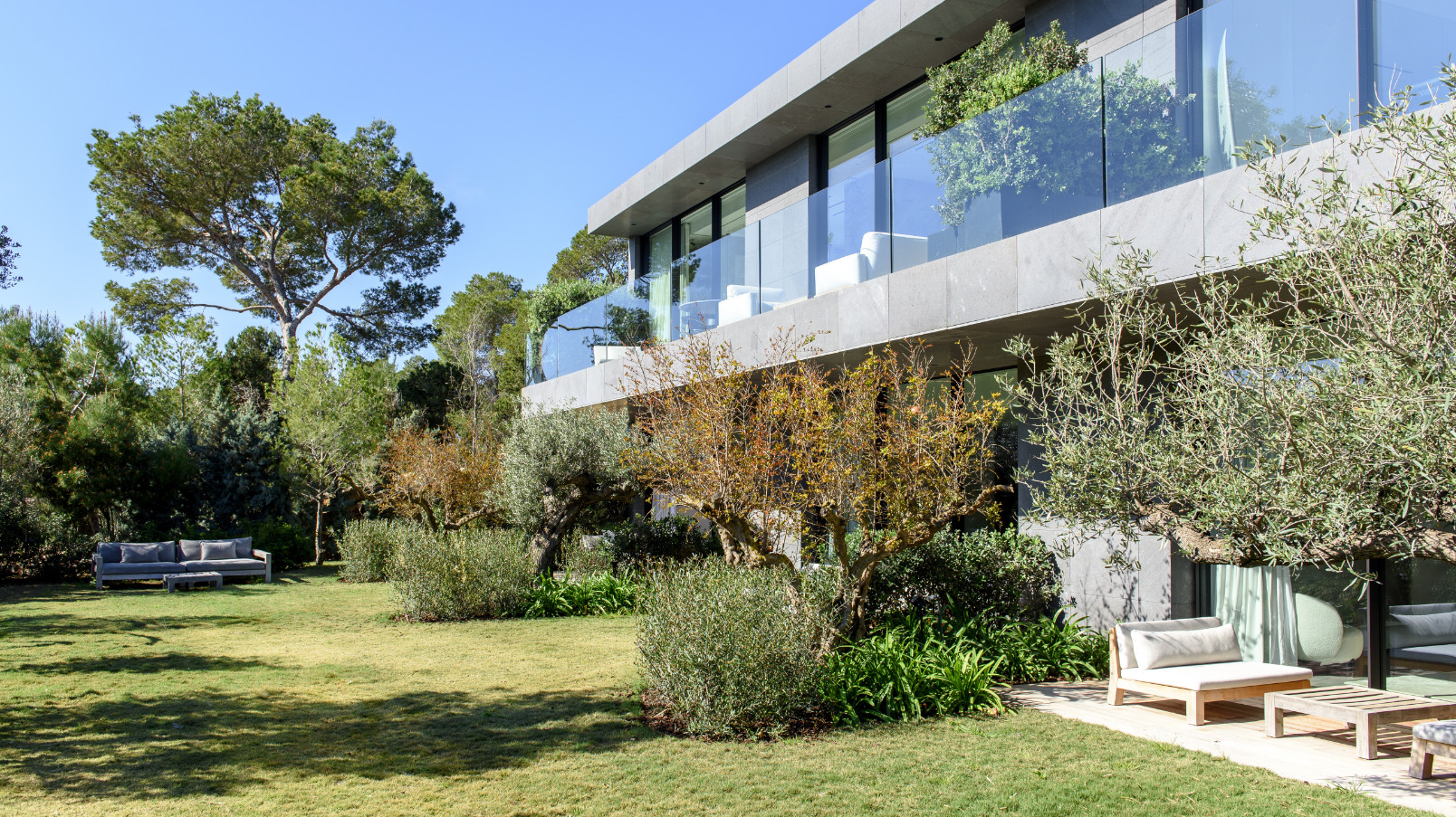 The Grey One - View 59