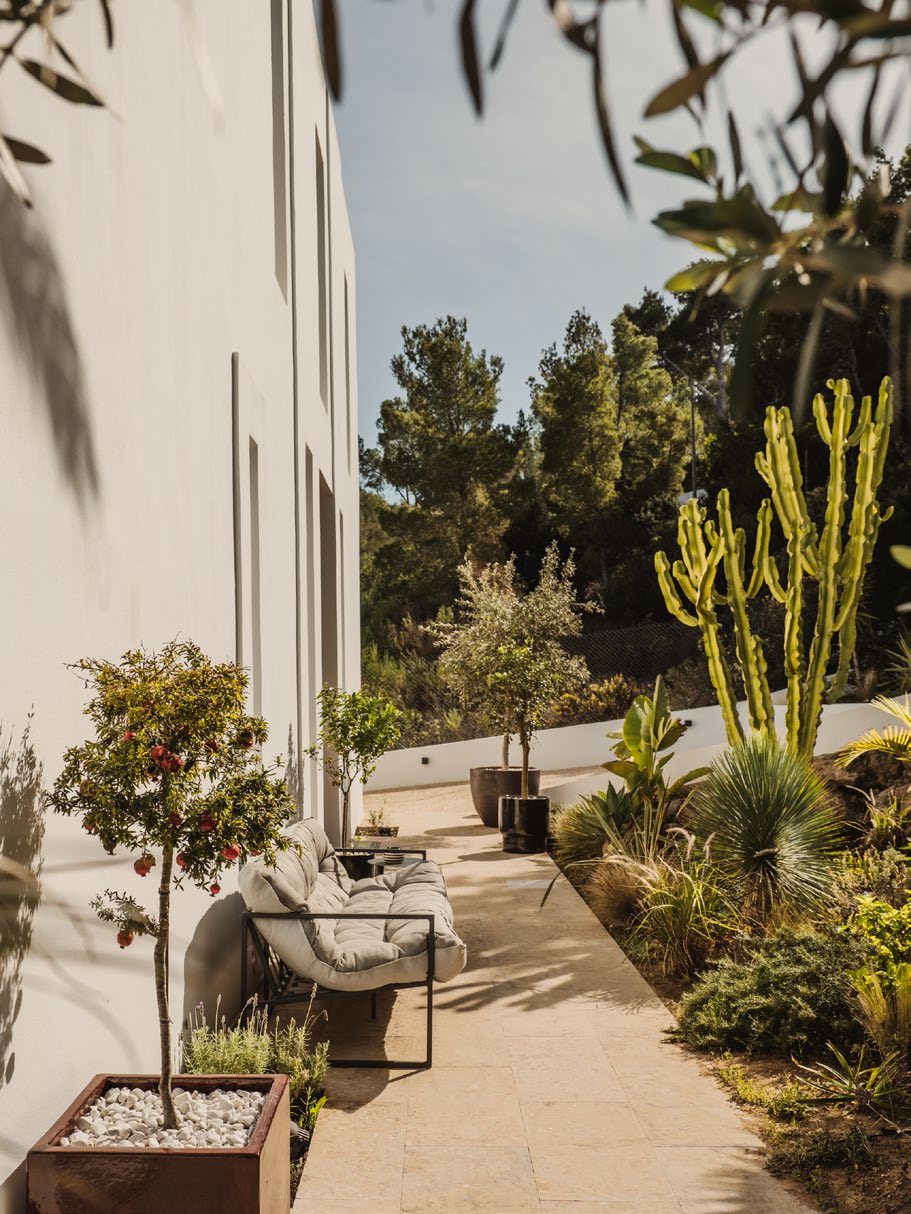 The Hedonist - View 4