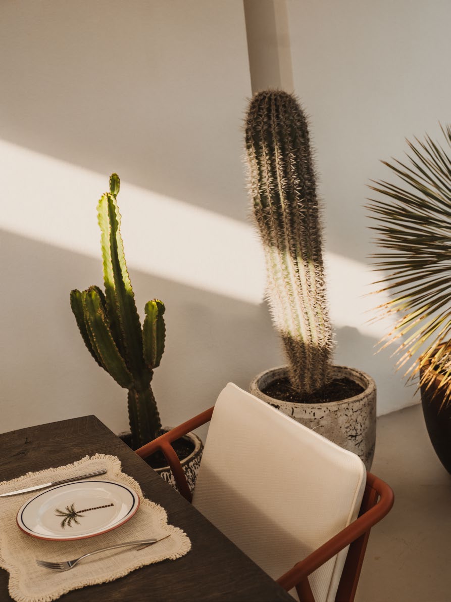 The Hedonist - View 39