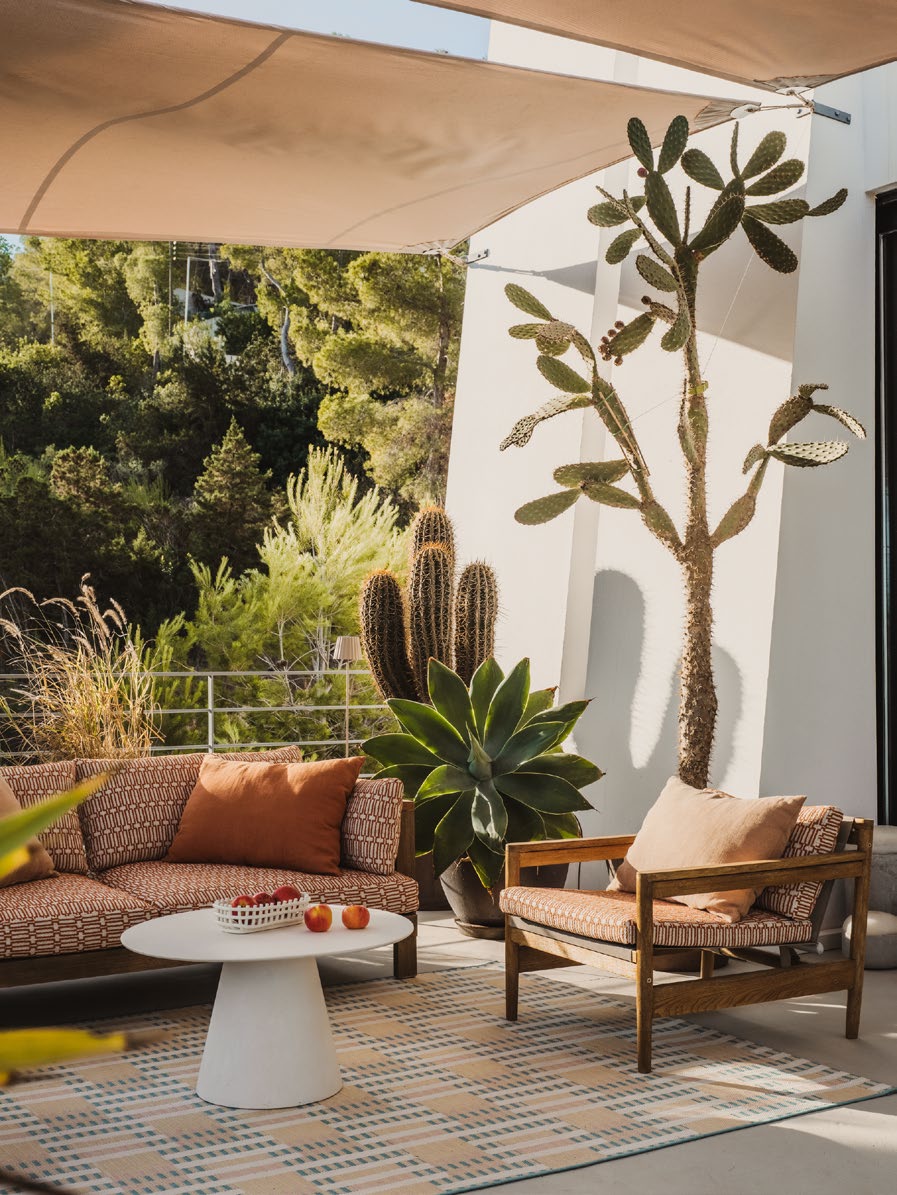 The Hedonist - View 40