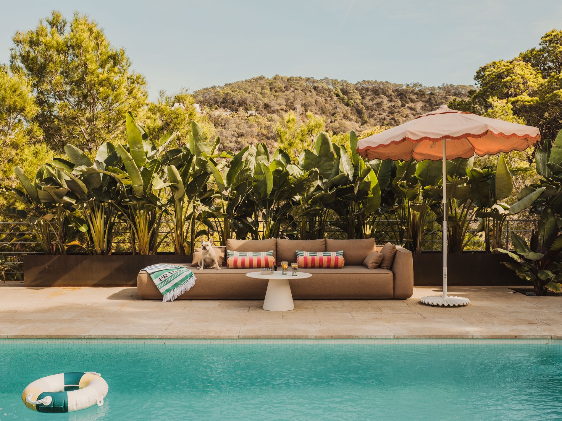 The Hedonist - View 59