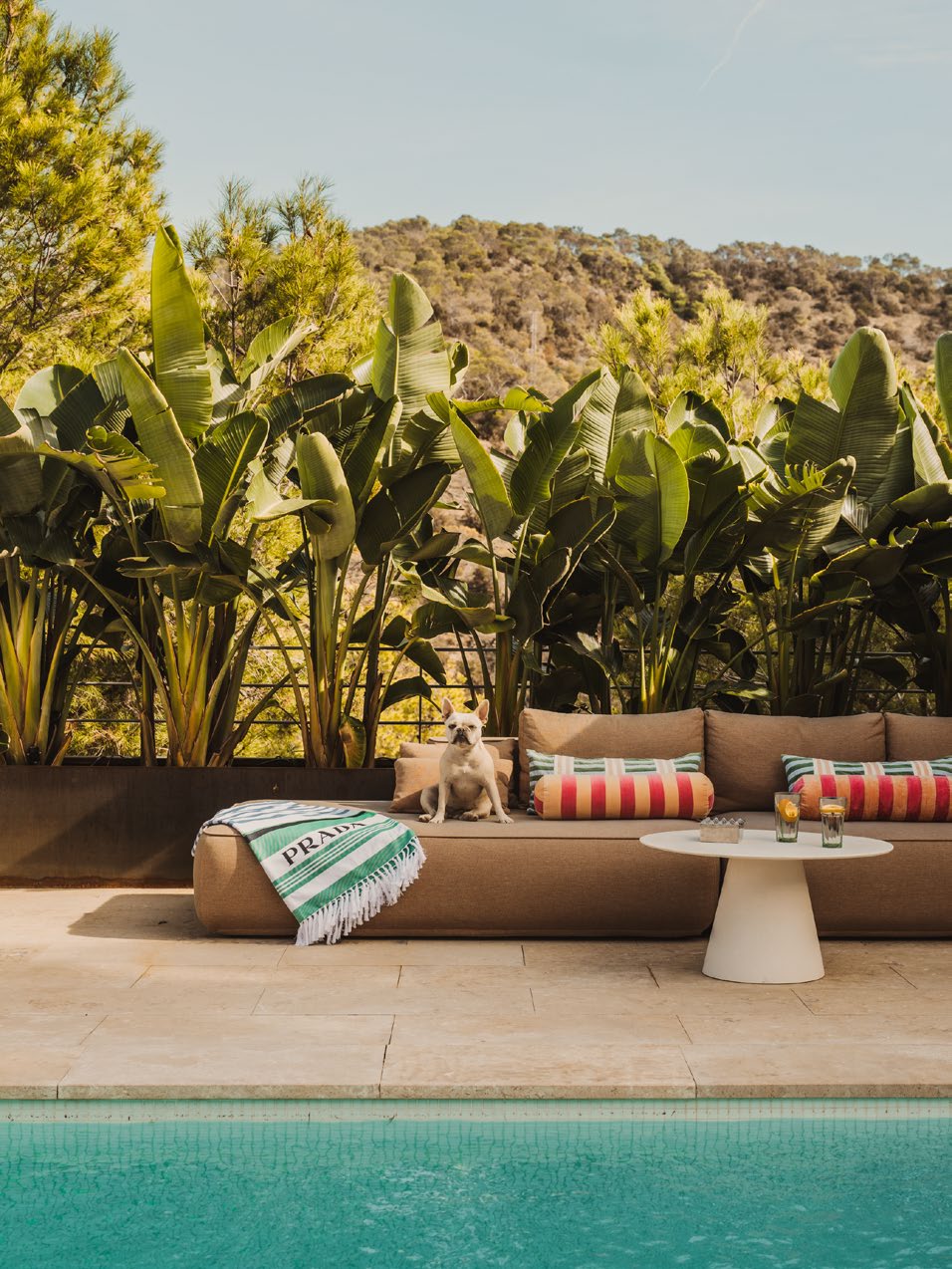 The Hedonist - View 65