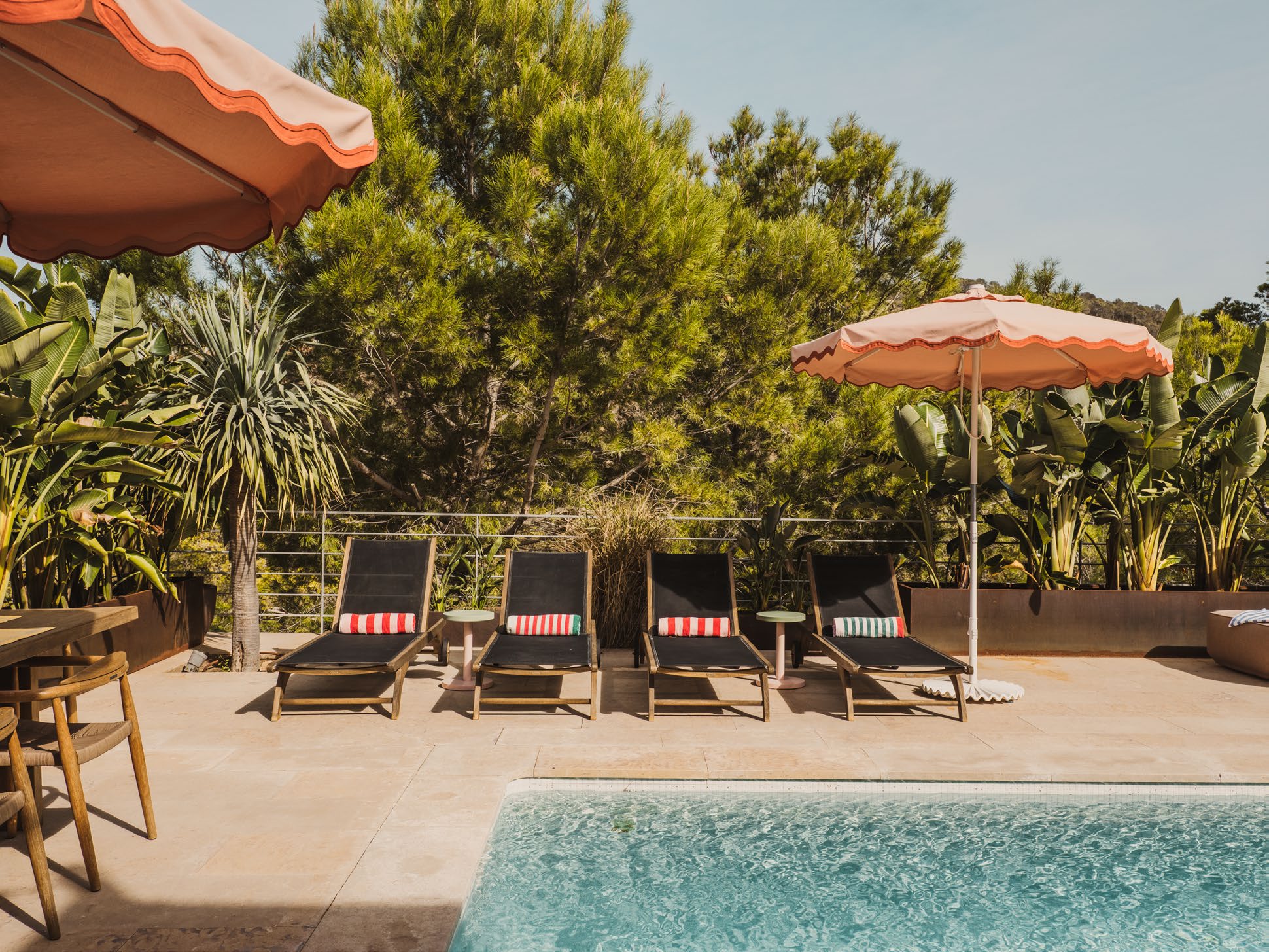 The Hedonist - View 66