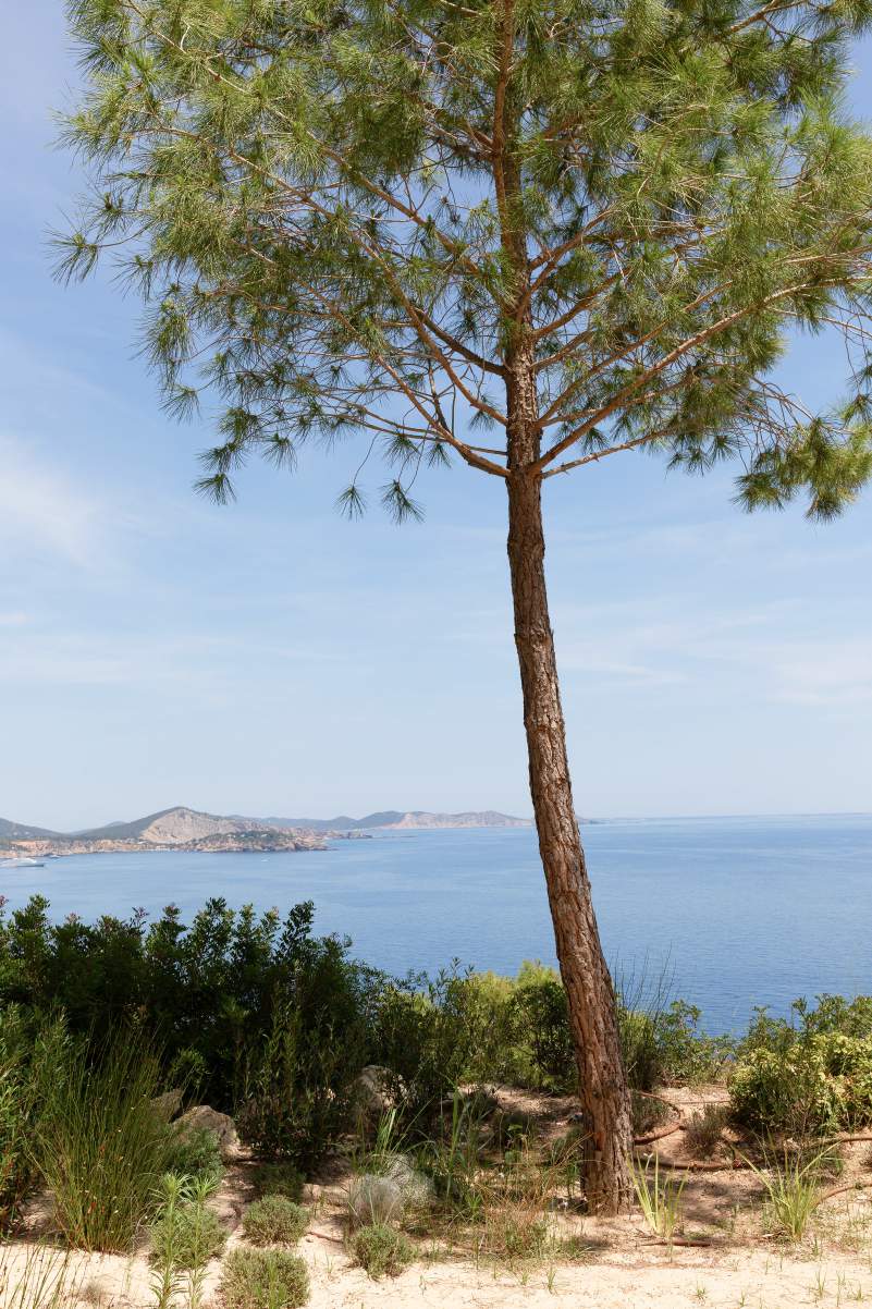 Villa Ischia - View 29