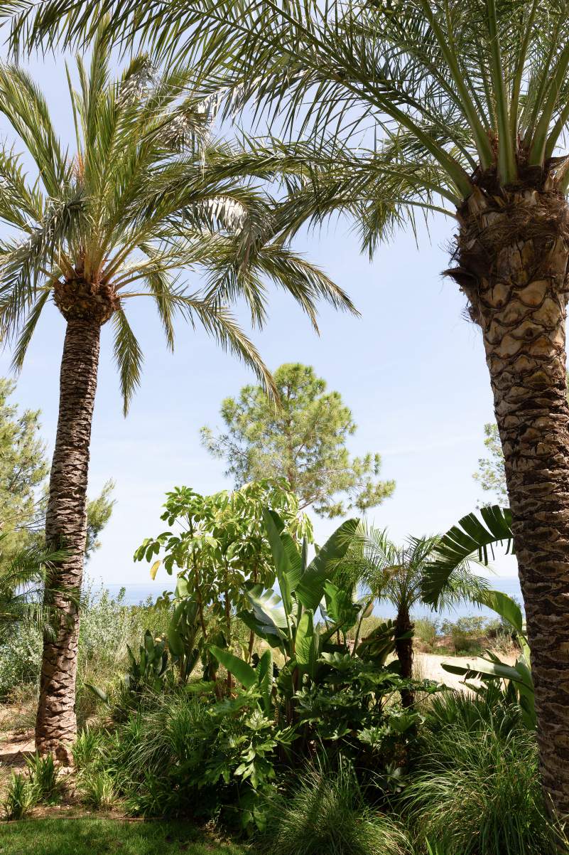 Villa Ischia - View 30