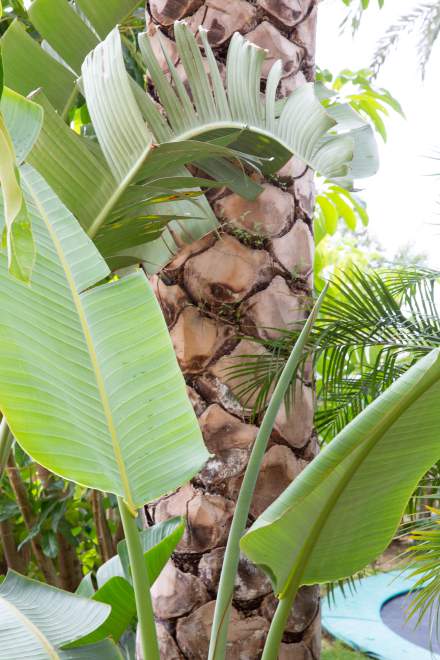 Villa Ischia - View 33