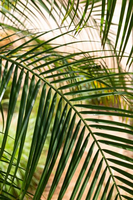 Villa Ischia - View 34