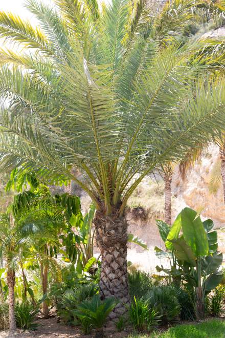 Villa Ischia - View 35