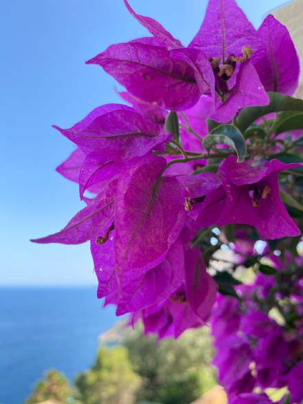 Villa Ischia - View 84